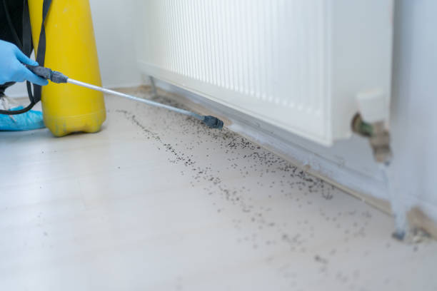 Best Affordable Pest Control Services  in Fultonde, AL